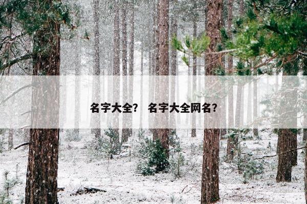 名字大全？ 名字大全网名？