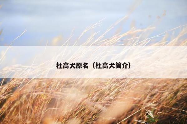 杜高犬原名（杜高犬简介）