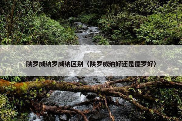 陕罗威纳罗威纳区别（陕罗威纳好还是德罗好）