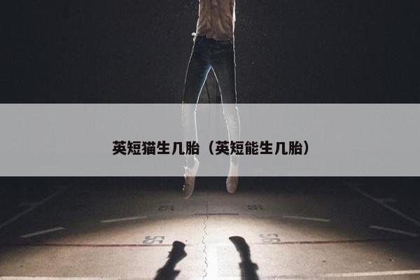 英短猫生几胎（英短能生几胎）