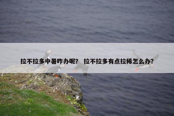 拉不拉多中暑咋办呢？ 拉不拉多有点拉稀怎么办？