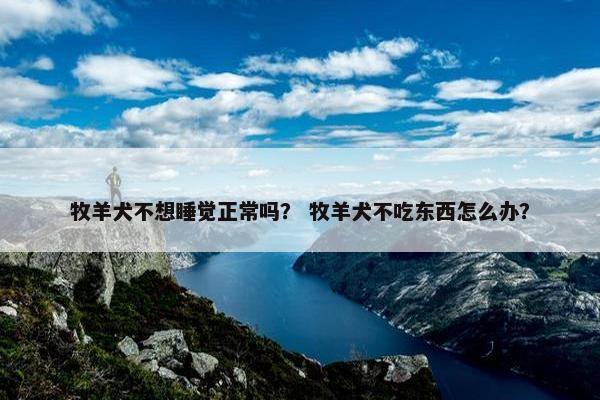 牧羊犬不想睡觉正常吗？ 牧羊犬不吃东西怎么办？