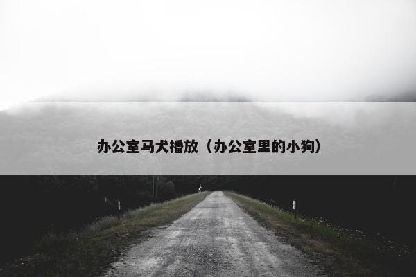 办公室马犬播放（办公室里的小狗）