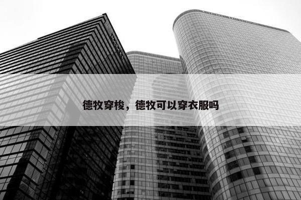 德牧穿梭，德牧可以穿衣服吗