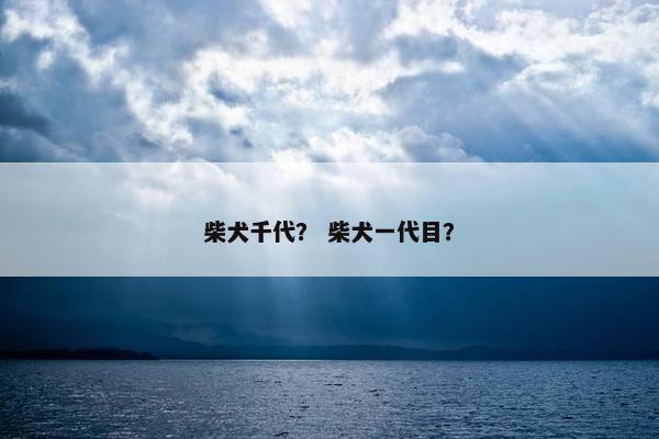 柴犬千代？ 柴犬一代目？