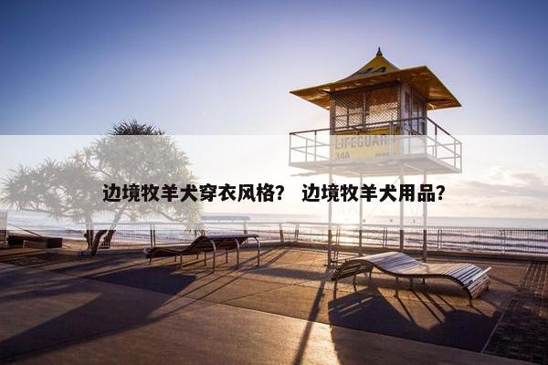 边境牧羊犬穿衣风格？ 边境牧羊犬用品？