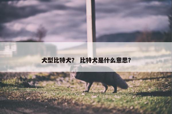 犬型比特犬？ 比特犬是什么意思？