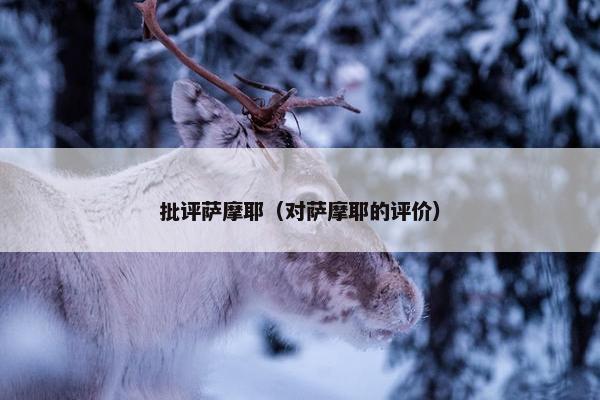 批评萨摩耶（对萨摩耶的评价）