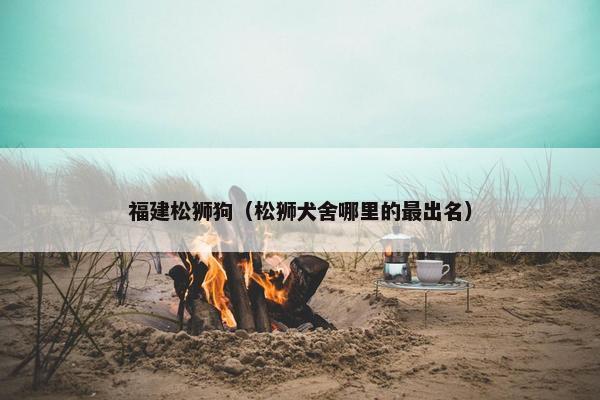 福建松狮狗（松狮犬舍哪里的最出名）