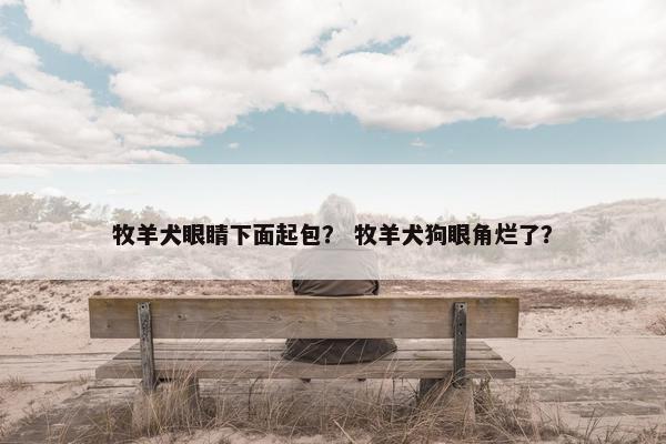 牧羊犬眼睛下面起包？ 牧羊犬狗眼角烂了？