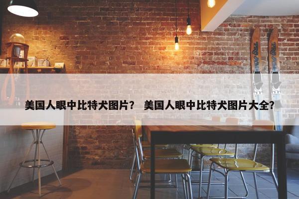 美国人眼中比特犬图片？ 美国人眼中比特犬图片大全？