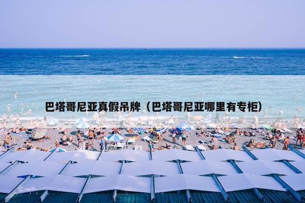 巴塔哥尼亚真假吊牌（巴塔哥尼亚哪里有专柜）