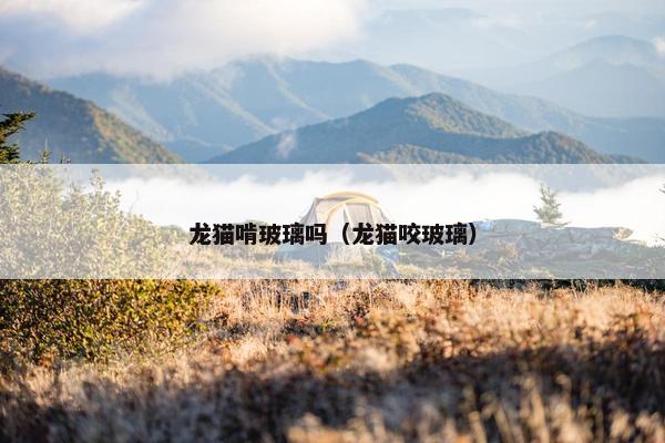 龙猫啃玻璃吗（龙猫咬玻璃）