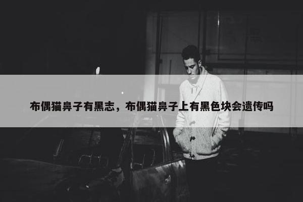 布偶猫鼻子有黑志，布偶猫鼻子上有黑色块会遗传吗