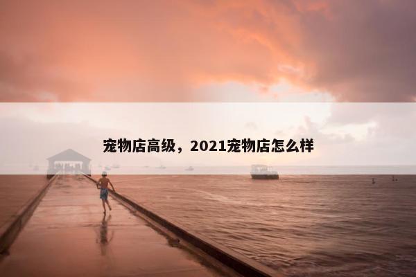 宠物店高级，2021宠物店怎么样