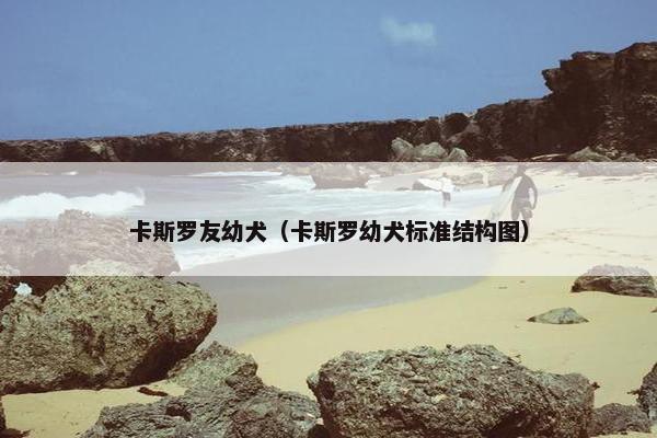 卡斯罗友幼犬（卡斯罗幼犬标准结构图）