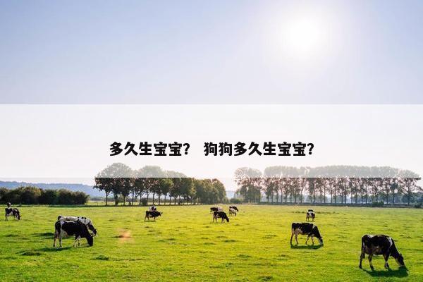 多久生宝宝？ 狗狗多久生宝宝？