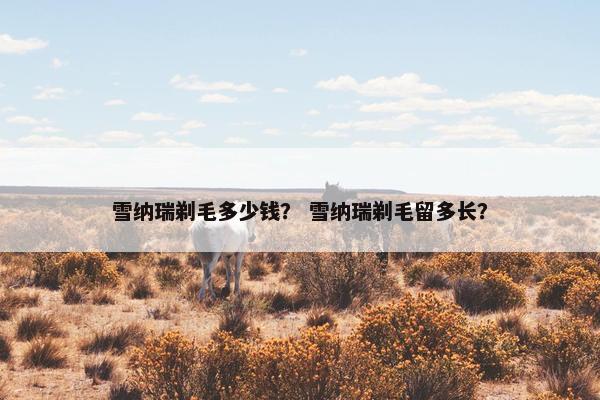 雪纳瑞剃毛多少钱？ 雪纳瑞剃毛留多长？