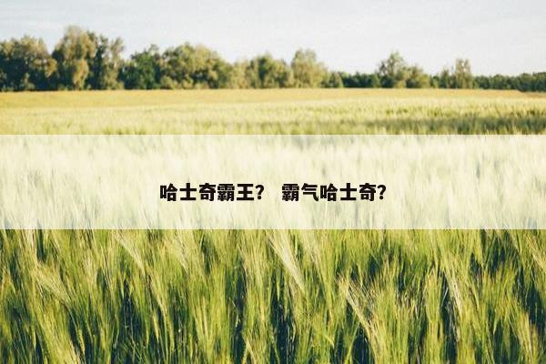 哈士奇霸王？ 霸气哈士奇？