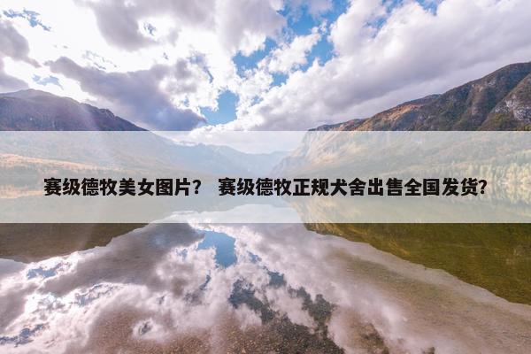 赛级德牧美女图片？ 赛级德牧正规犬舍出售全国发货？