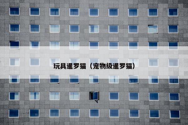 玩具暹罗猫（宠物级暹罗猫）