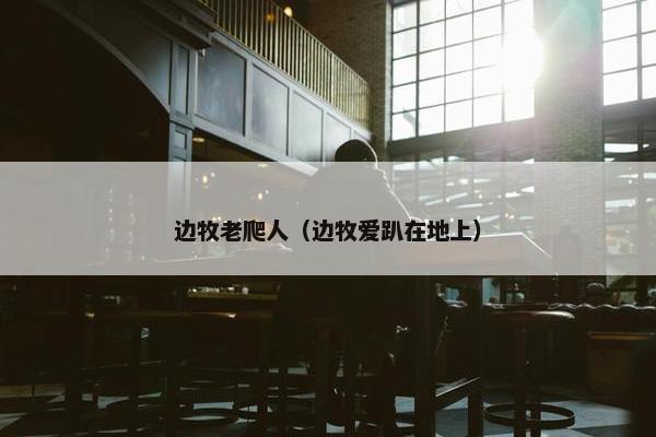 边牧老爬人（边牧爱趴在地上）