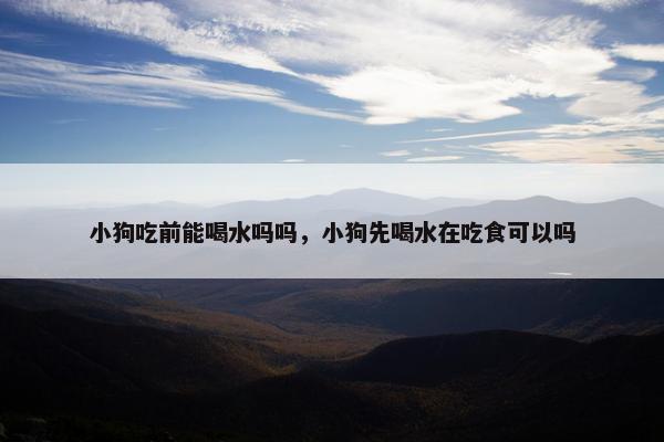 小狗吃前能喝水吗吗，小狗先喝水在吃食可以吗