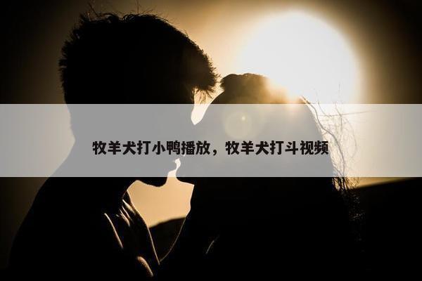 牧羊犬打小鸭播放，牧羊犬打斗视频