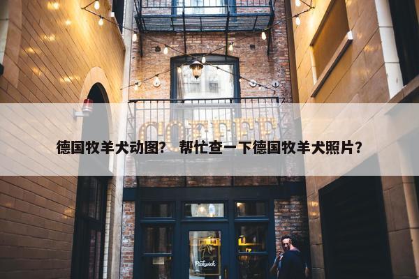 德国牧羊犬动图？ 帮忙查一下德国牧羊犬照片？
