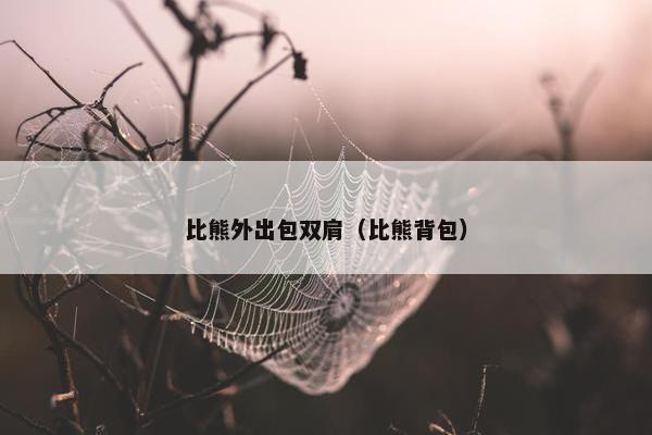 比熊外出包双肩（比熊背包）