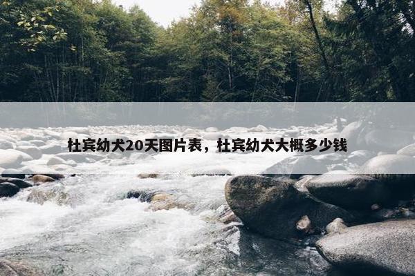杜宾幼犬20天图片表，杜宾幼犬大概多少钱