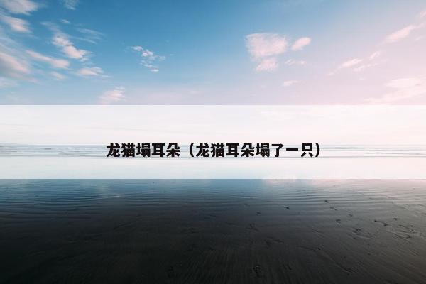 龙猫塌耳朵（龙猫耳朵塌了一只）