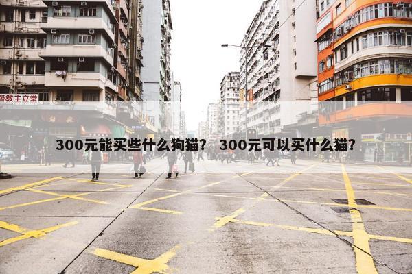 300元能买些什么狗猫？ 300元可以买什么猫？