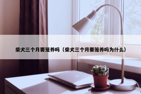 柴犬三个月要笼养吗（柴犬三个月要笼养吗为什么）