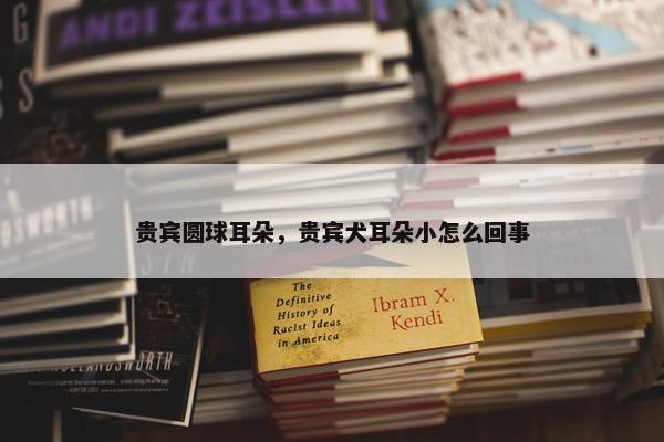 贵宾圆球耳朵，贵宾犬耳朵小怎么回事