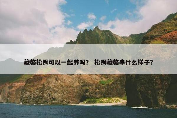 藏獒松狮可以一起养吗？ 松狮藏獒串什么样子？