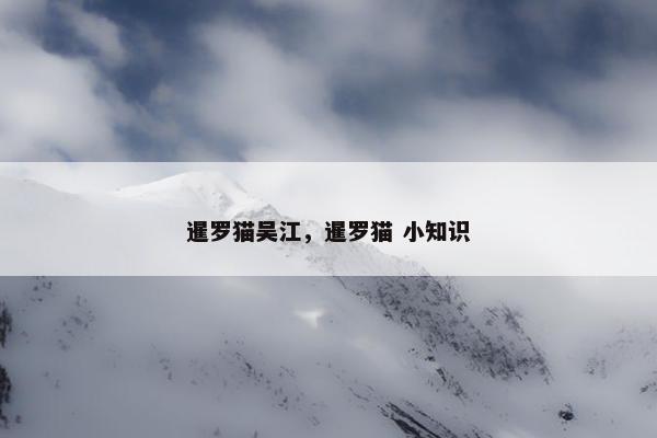 暹罗猫吴江，暹罗猫 小知识