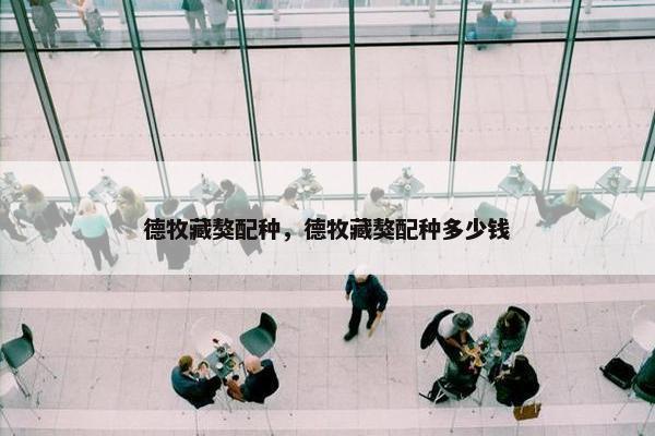 德牧藏獒配种，德牧藏獒配种多少钱