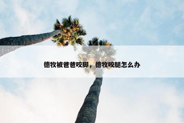 德牧被爸爸咬脚，德牧咬腿怎么办