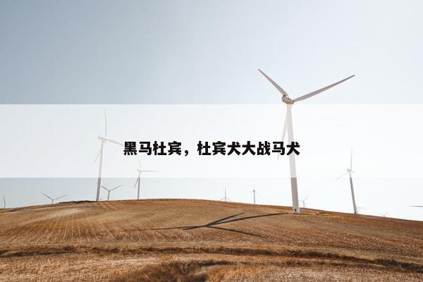 黑马杜宾，杜宾犬大战马犬