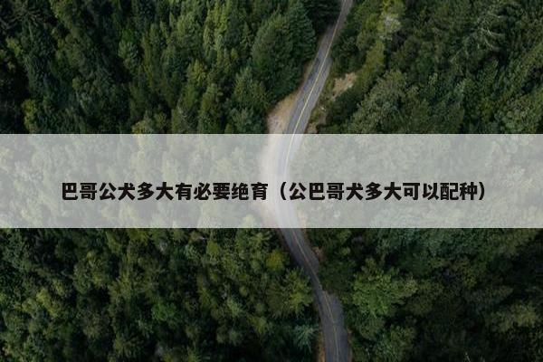 巴哥公犬多大有必要绝育（公巴哥犬多大可以配种）