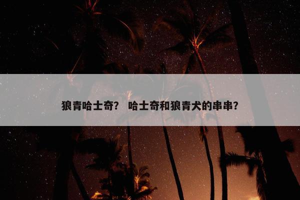狼青哈士奇？ 哈士奇和狼青犬的串串？
