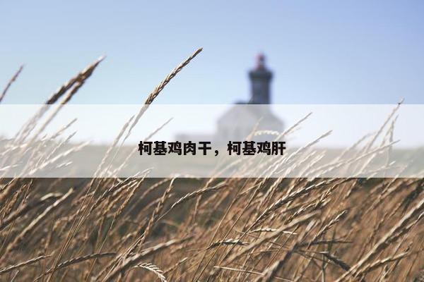 柯基鸡肉干，柯基鸡肝