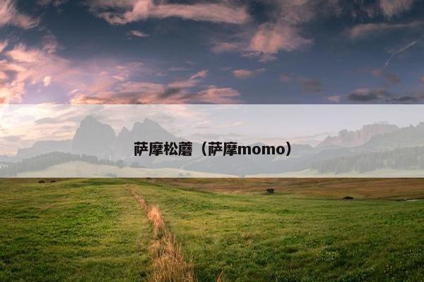 萨摩松蘑（萨摩momo）