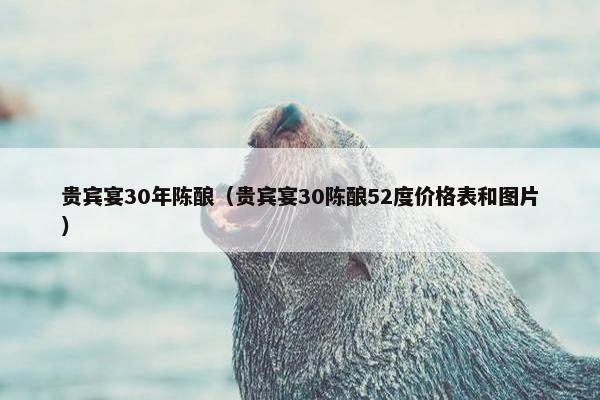 贵宾宴30年陈酿（贵宾宴30陈酿52度价格表和图片）