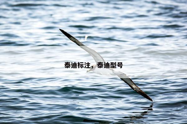 泰迪标注，泰迪型号