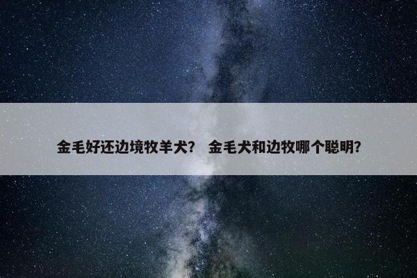 金毛好还边境牧羊犬？ 金毛犬和边牧哪个聪明？