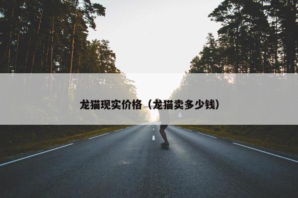 龙猫现实价格（龙猫卖多少钱）