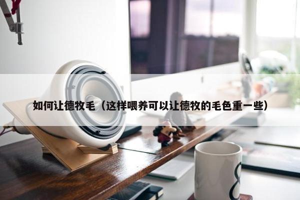 如何让德牧毛（这样喂养可以让德牧的毛色重一些）