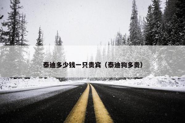 泰迪多少钱一只贵宾（泰迪狗多贵）